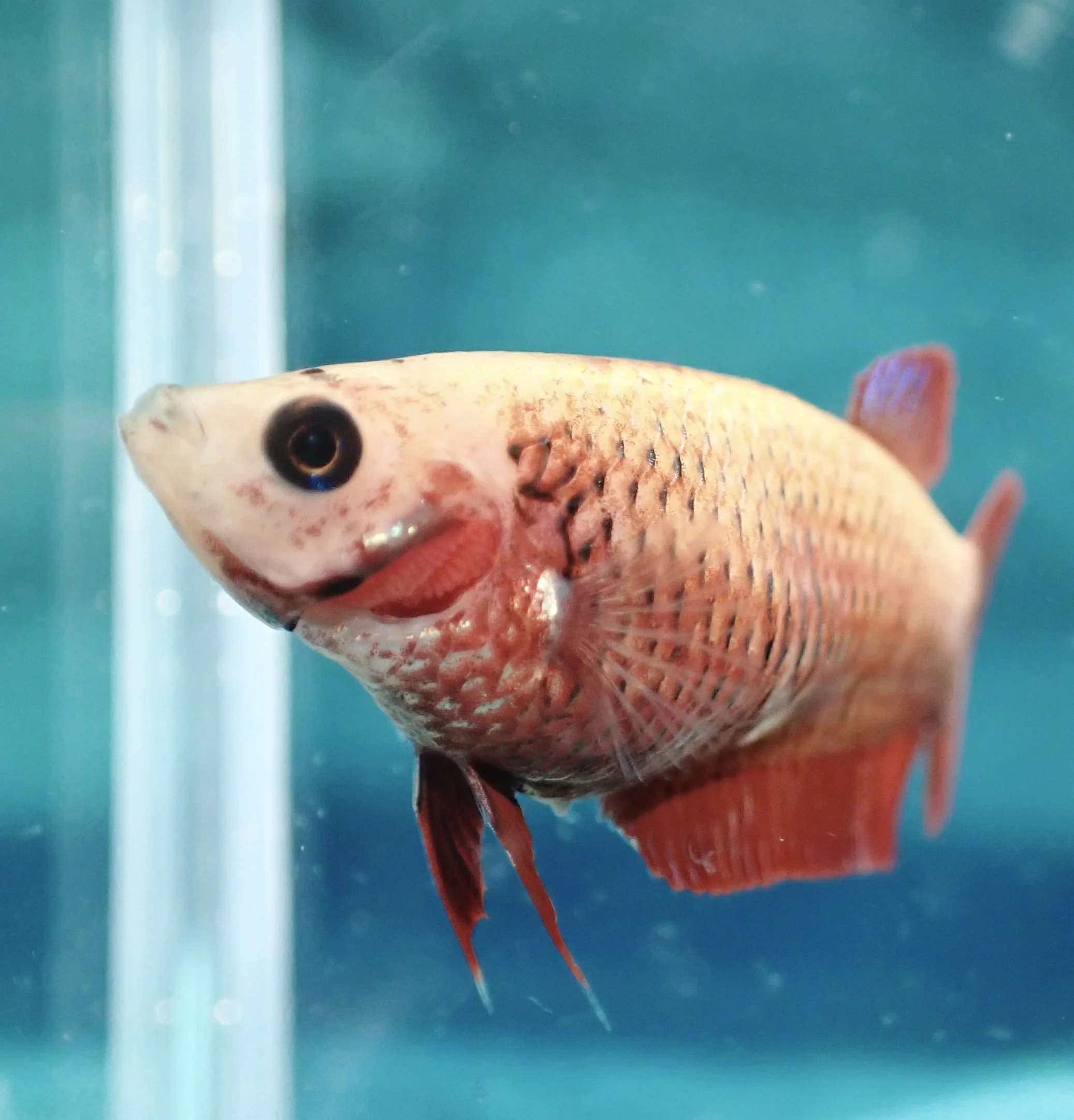 Sonnenschein - Bild 2