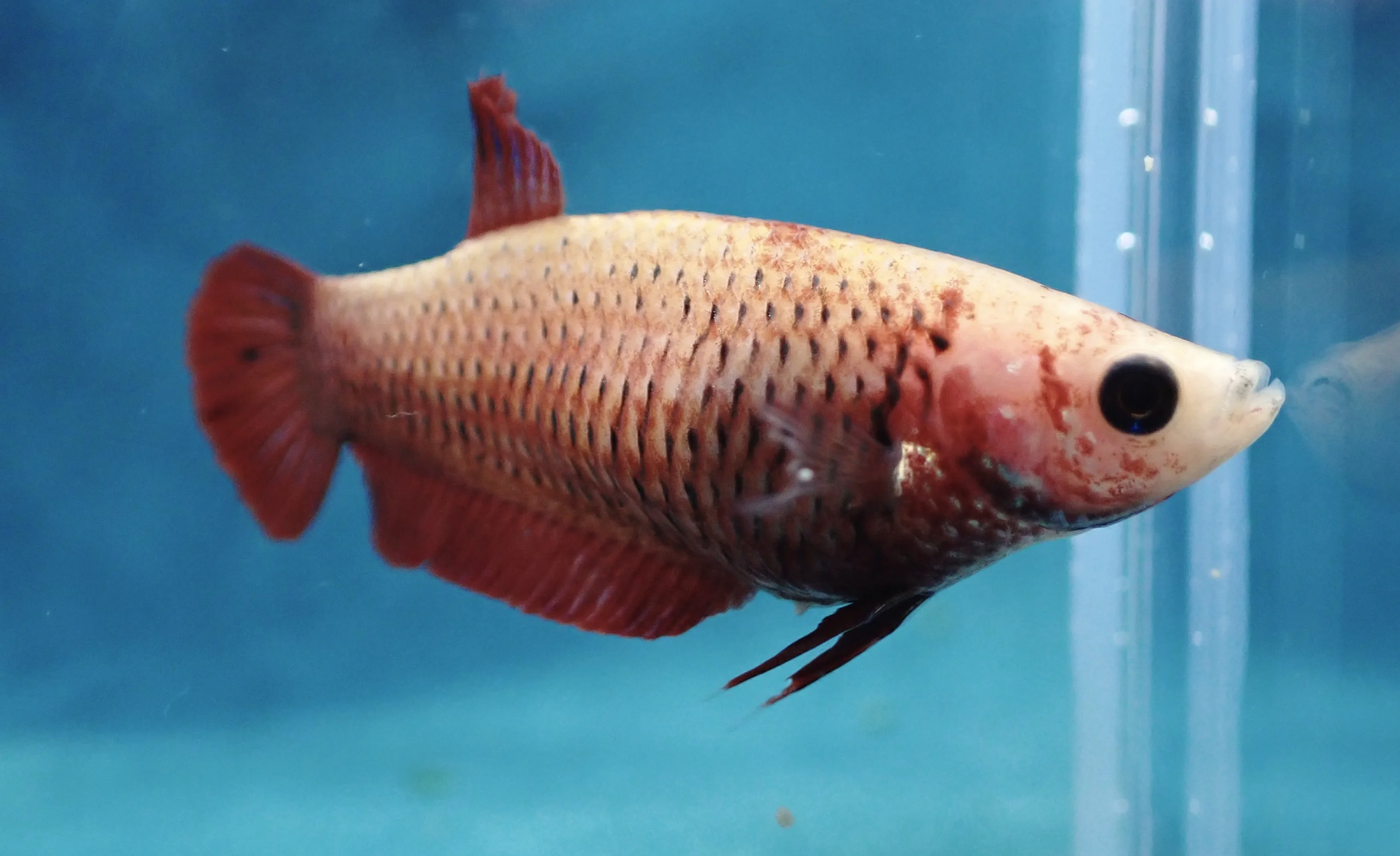 Sonnenschein - Bild 1